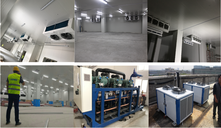 http://www.celexas.com/gongchenganli/shipin/1230.html